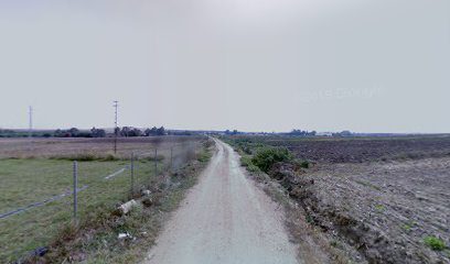 Agrosur Inversiones S L Cam. de los Molinos 0 41209 San Ignacio del Viar Sevilla