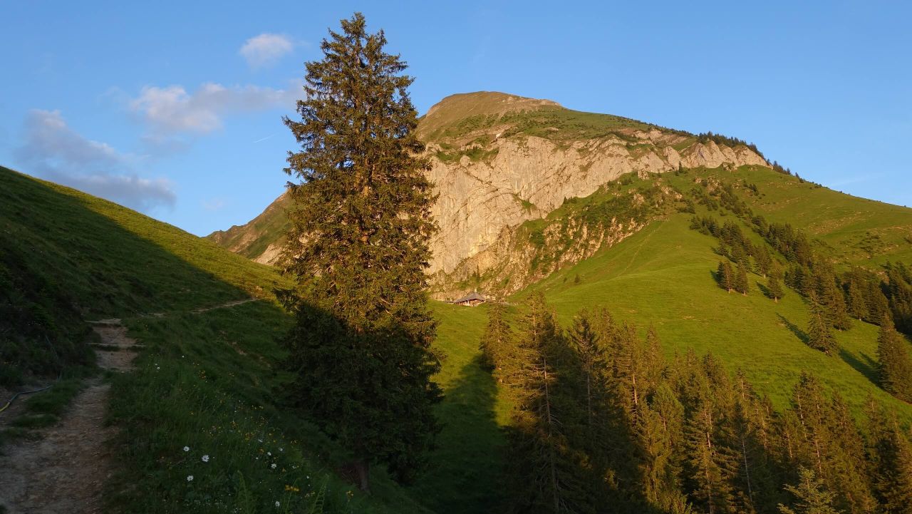 Alp Gerona