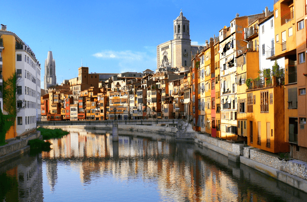Amer Gerona