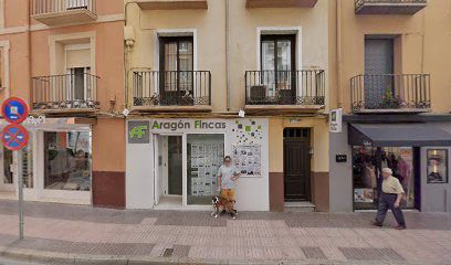 Aragon Fincas C. Coso Alto 62 22003 Huesca