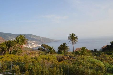 Brena Alta Santa Cruz de Tenerife