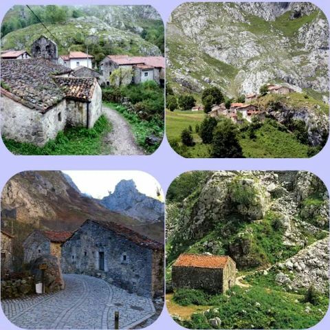Cabrales Asturias