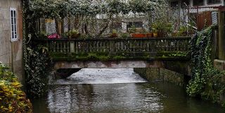 Caldas de Reis Pontevedra