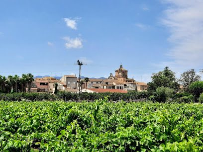 Catalan Connexion Carrer Ample 28 43748 Ginestar Tarragona