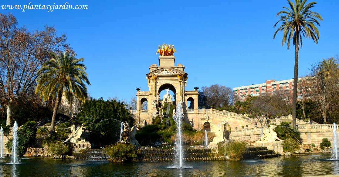 Distrito de Ciudad Vieja de Barcelona capital Barcelona capital