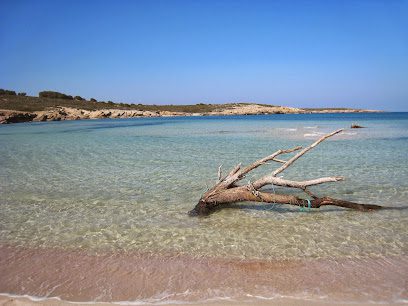 FINCAS VENALIS PORTAL MENORCA Inmobiliaria Estate Agents Mahon Carrer dAlaior 17 07703 Mao Illes Balears