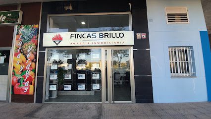 Fincas Brillo Inmobiliaria Av. Pierre de Coubertin 26 10005 Caceres