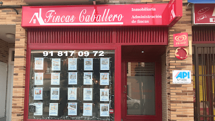 Fincas Caballero INMOBILIARIA ADMINISTRACION DE FINCAS Av. de la Constitucion 42 45940 Valmojado Toledo