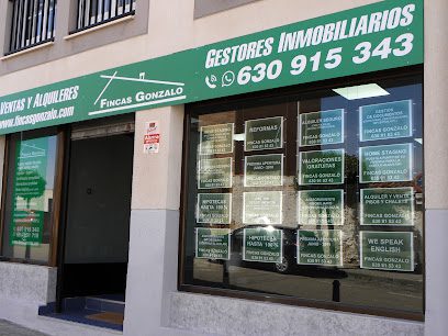 Fincas Gonzalo Carr. Villar del Olmo 8 28510 Campo Real Madrid