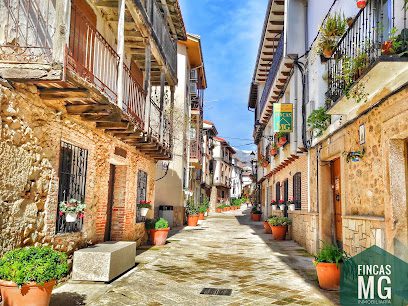 Fincas MG Agencia Inmobiliaria en Candeleda C. Domingo Labajo 8 05480 Candeleda Avila