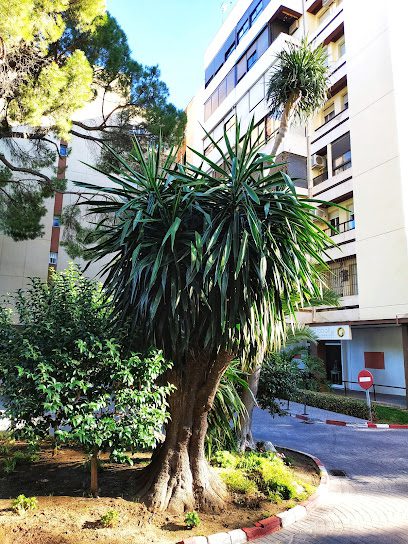 Globally Gestion Inmobiliaria Edf Catalpa Urb. El Bosque 11405 Jerez de la Frontera Cadiz