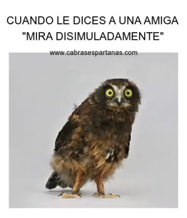 INMOBILIARIA BRAVO Av. Burgos 9 09500 Medina de Pomar Burgos