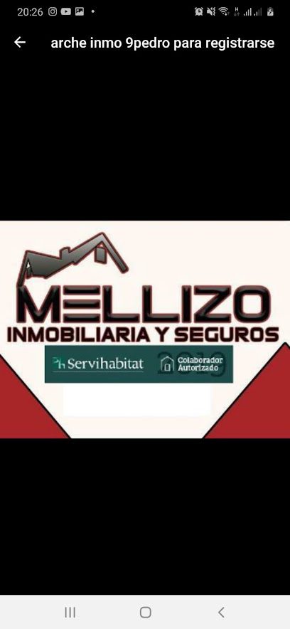 INMOBILIARIA Y SEGUROS MELLIZO C. Maestro Jose Antonio Campuzano 30600 Archena Murcia