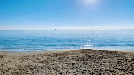 Ibiza TRT Gestion Inmobiliaria Carrer de Sant Antoni 36 Bajo 6 07820 Sant Antoni de Portmany Balearic Islands