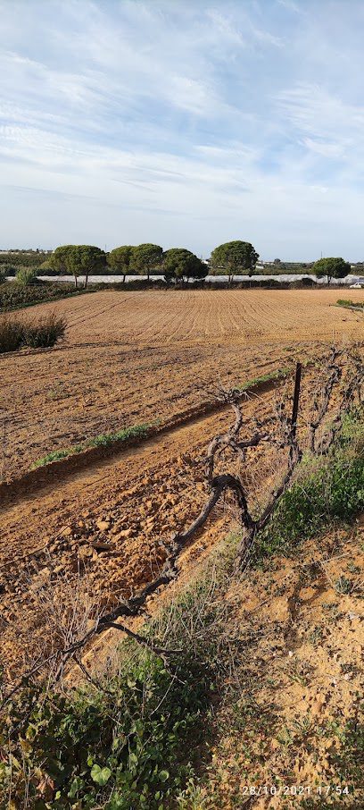 Ijofincas Inmobiliaria Calle Dr. Diez y Moreno 3 local 1 21500 Gibraleon Huelva