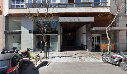 Ingesul Calle de Lagasca 95 28006 Madrid
