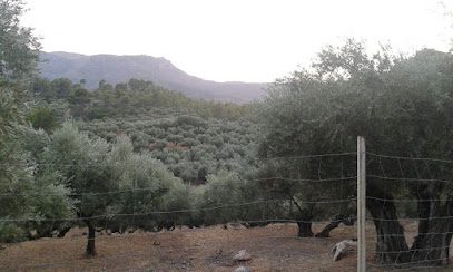 Inmobiliaria Castillo C. Levante 17 23330 Villanueva del Arzobispo Jaen