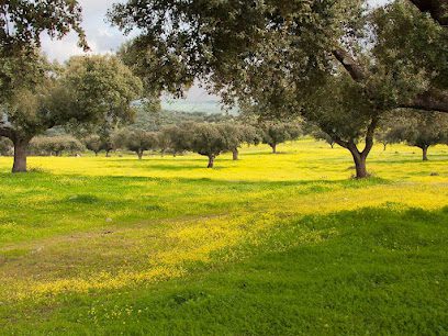 Inmobiliaria Decampo Venta de fincas en Extremadura Pl. Joaquin Salgado 1 06500 San Vicente de Alcantara Badajoz