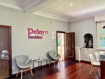 Inmobiliaria Pelayo S L P.o Nino 2 39300 Torrelavega Cantabria