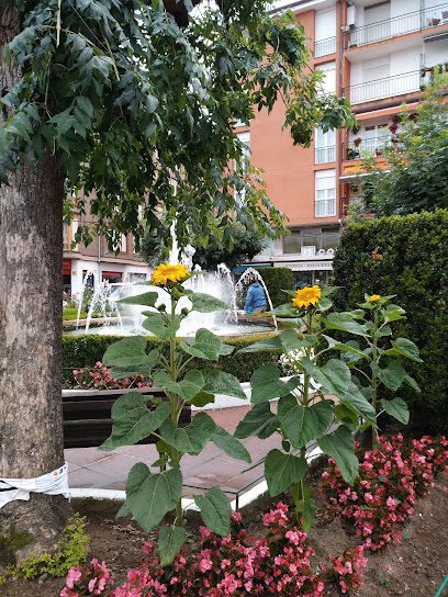 Inmobiliaria Ramon Pl. Duques de la Victoria sn 39800 Ramales de la Victoria Cantabria
