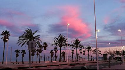 Marlone Servicios inmobiliarios....abrimos festivos con agenda Carrer dels Marenys No 3 46711 playa de Miramar Valencia