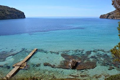 PHOENIX MALLORCA Avinguda de Sa Platja 2 Local 3 07160 Es Camp de Mar Balearic Islands