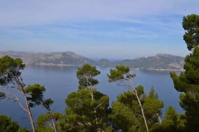 Parasol Property Mallorca Ramon Llull 31 07350 Binissalem Balearic Islands