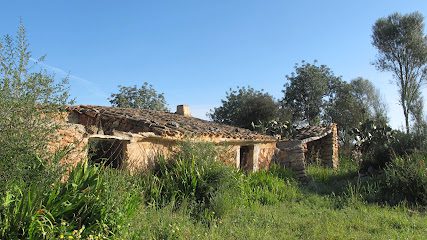 Preciosa Homes Carrer de sa Creu 2 07630 Campos Illes Balears