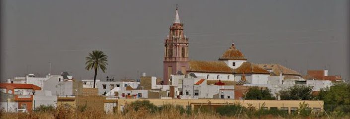 Rincon Asesores 41720 Los Palacios y Villafranca Sevilla
