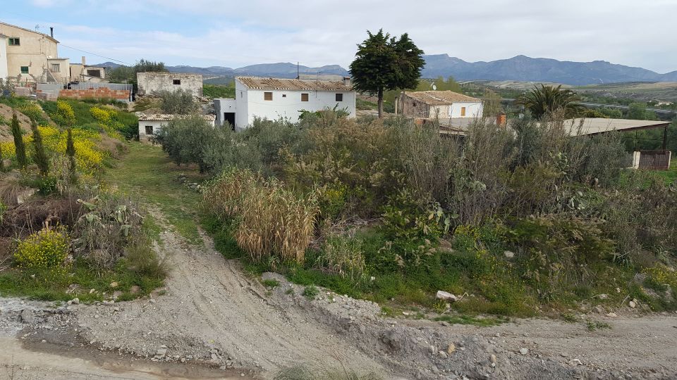Seron Almeria