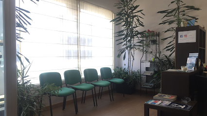Sertec Calle Circunvalacion Don Aurelio 53 Bajo 36670 Cuntis Pontevedra