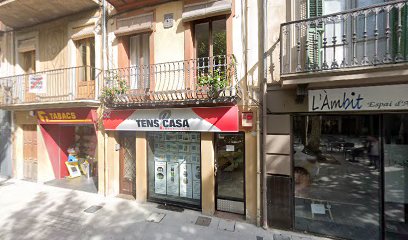 Tens Casa Immobiliaria Passeig de lEscultor Miquel Blay 17800 Olot Girona