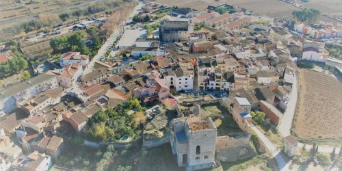 Vallmoll Tarragona